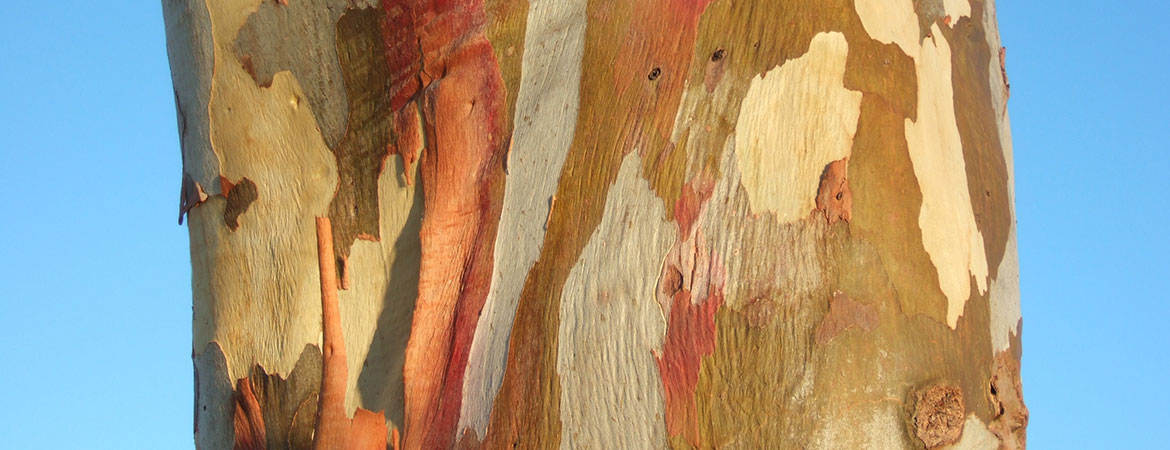 National Environmental Science Programme