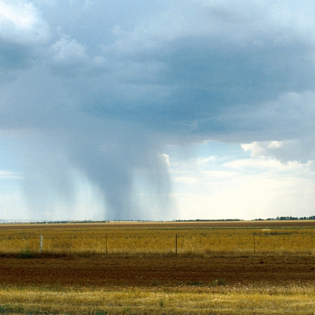 Rainfall on the plains near Balaklava, South Australia